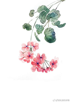 听你话一天一夜采集到画画