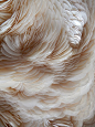 Rowan Mersh 2014: Fashion And Textiles Design, Feathers Patterns, Rowan Mersh, Patterns Color, Design Textiles, Shells Design, Texture Patterns, Texture Art, Texture Feathers