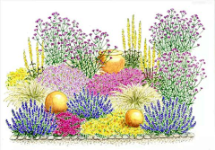 白菜花恰白菜采集到插画