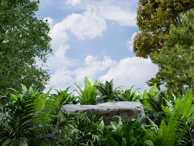 rock-podium-tropical...