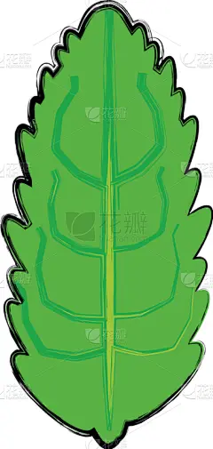 环境,叶子,图标,生物学,创造力,循环利用,自然,季节,清新,概念