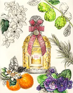 Carmen García Huerta的时尚杂志插图
