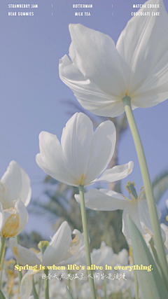 泡面吖泡面采集到花花