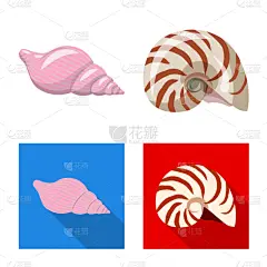 动物,品牌名称,分离着色,自然,螺线,海产,图像,装饰,收集,设计