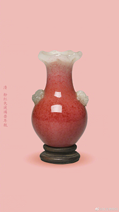 头凉的小白采集到杂识
