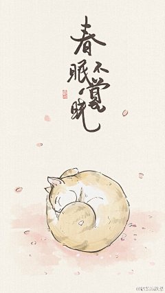 黑羽希采集到待归类采集