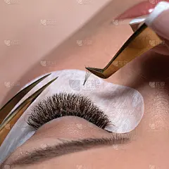 睫毛扩展过程。长睫毛的女人眼
