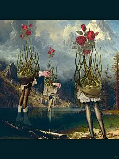 插画分享44｜东西怪奇大观园Julia Lillard