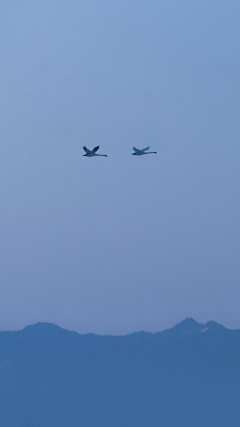 暖夏小豆采集到风景场景