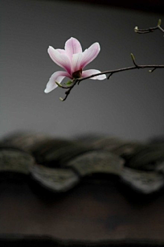 听下脚步等你采集到其他