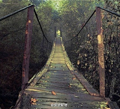 青瓷入骨采集到走向远方