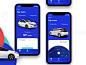 Nissan Leaf leaf nissan electric car iphonex ios app ux ui design