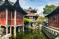 沫笙先生采集到植物参考