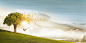 肖沛源 Shawn on Behance