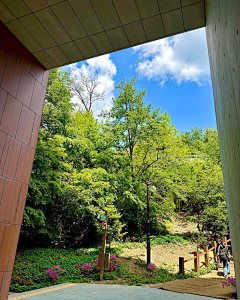 小豆菌采集到首尔国立大学