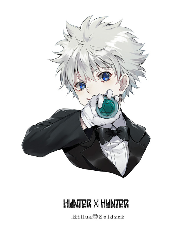 HUNTER×HUNTER [2]