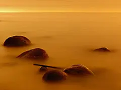金黄色的夕阳摄影写真桌面壁纸桌面壁纸1