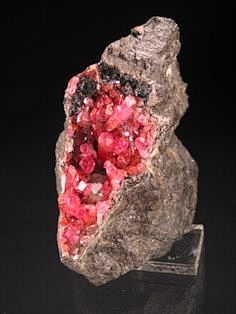 Minerals (new) (warm...