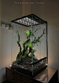                                                         『 阶段性总结 - #原生试验室｜The Biotope Lab# 』

2020终于走到了最后，我还是很爱这一年的。

总的来说，可能是自己目前最有创造力的一年吧。高考之后如愿创作了不少作品。

今年因为自己花了更多时间胡思乱想，学习了更多喜欢的领域…我自认为作品上较之前有了一定成长。同时内容表达上也随心境有 ​​​​...展开全文c                            
