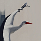 Denis Gonchar 插画作品欣赏：鸟、家禽和人_V5CG