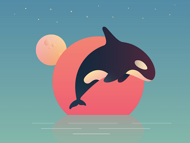 Killer Whale