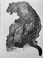 1Nc1igo的照片 - 微相册