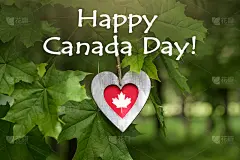 快乐加拿大日贺卡，心与旗帜元素在自然绿色的背景。