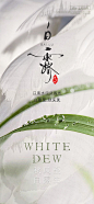 白露节气海报-源文件