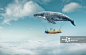 Digital Composite Image Of Siblings Riding On Airplane With Whale In Cloudy Sky详情 - 创意图片 - 视觉中国 VCG.COM