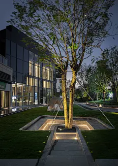 深圳光明百晟上府 现代 住宅景观 植物 草坪 （SED新西林景观国际，拥有国家高新技术企业资质，国家风景园林工程设计专项甲级资质，业务范围：景观都市环境设计、住宅及社区景观设计、商业地产景观设计、养老地产及产业园区景观设计、酒店及度假景观设计、城市规划景观设计)
