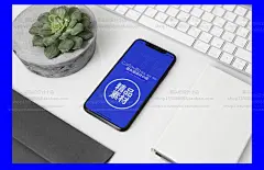 企业公司VI品牌提案样机文创科技物流公司VI文件袋名片文化墙素材-淘宝网