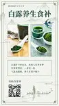 白露节气养生食补百科手机海报