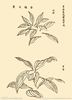 肥肥king采集到芥子园