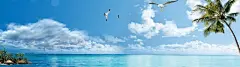 夏日海洋风光背景banner 免费下载 页面网页 平面电商 创意素材 png图片
