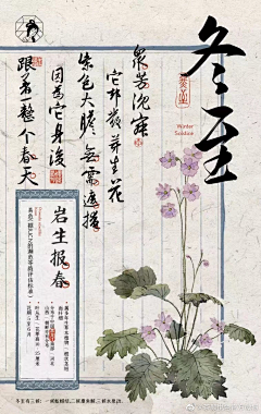 顾顾顾顾顾念i采集到24节气
