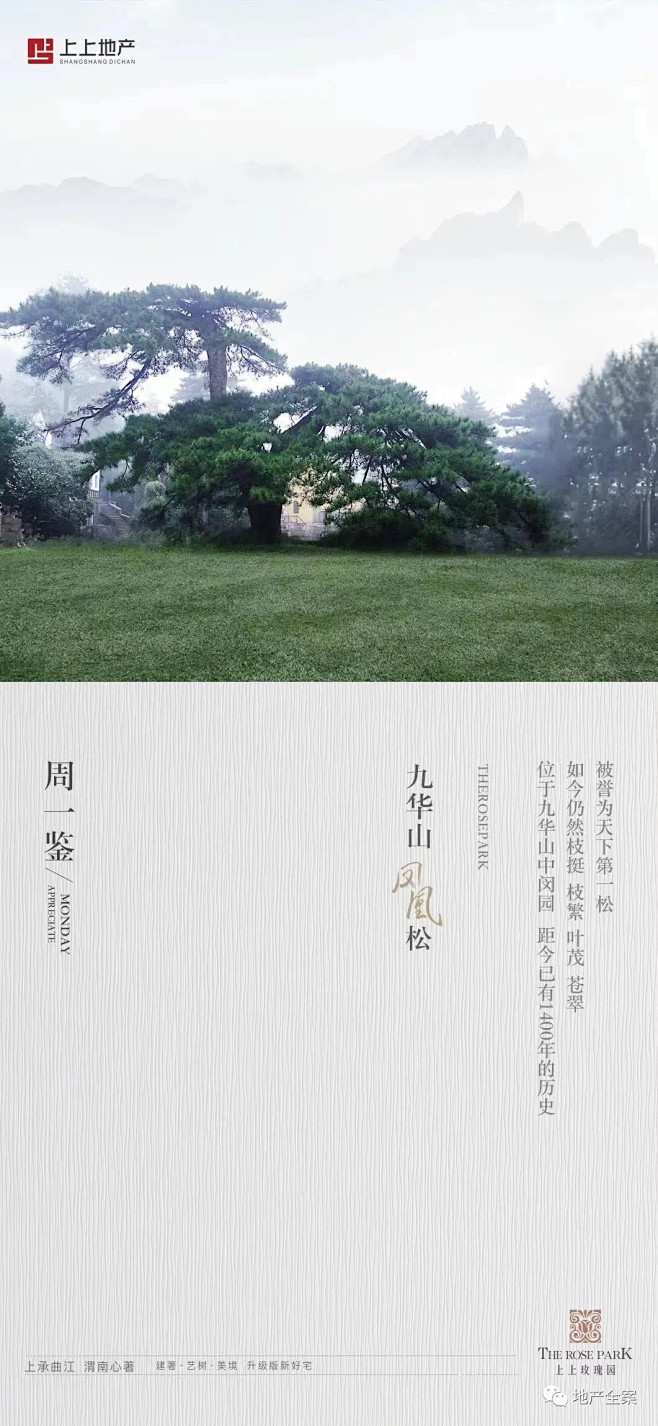 上上玫瑰园