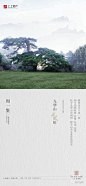 上上玫瑰园