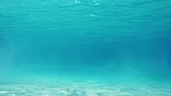 MS深情情侣浮潜，一起在蓝色海洋的水下游泳