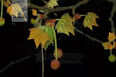 点击查看源网页