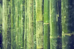 竹结构