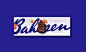 This may contain: a bar of chocolate with the word bahlpen on it's back side