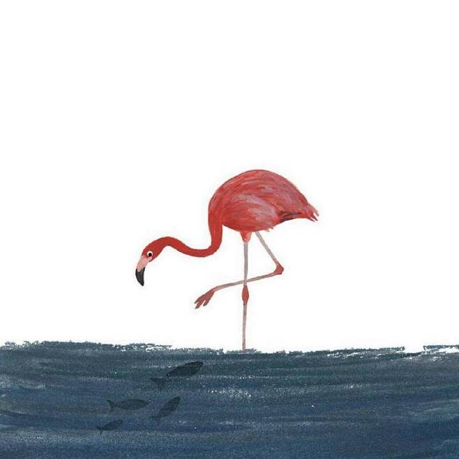 14:29:35火烈鸟插画/头像陌上华染该采集也在以下画板加载更多