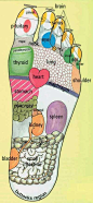 Reflexology of the Foot and the Organs – Waking Times