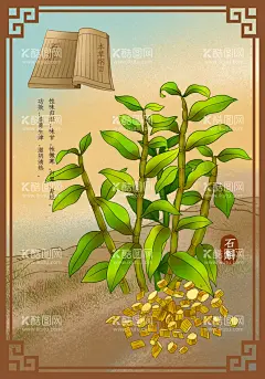 中药材石斛  - 源文件下载【酷图网】药材,漫画,彩绘,中药材,中医,中国风,石斛,