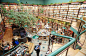 世界上最美的10所书店
9.Cafebreria El Pendulo，墨西哥
这家书店兼咖啡厅内有足够的绿植，让你神清气爽，阅读也好闲逛也罢，简直就是个天然氧吧。#城市##书店# #创意#