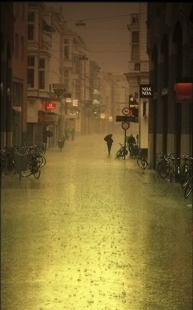 雨。荷兰