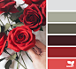 Design Seeds : Design Seeds color palettes ... posted daily for all who love color.