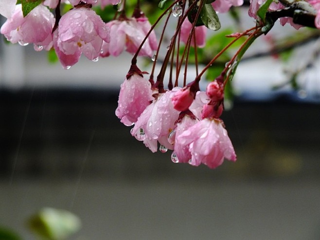 下雨天