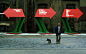 Signage: 