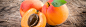 新鲜的黄桃水果高清素材 切开 叶子 图片素材 桃子 水果 水果蔬菜 海报banner 美味 蔬菜 食物 餐饮美食 黄桃 背景 设计图片 免费下载